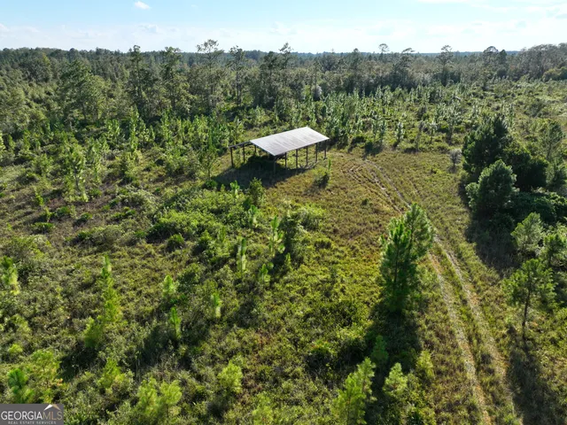 a view of a large yard with lots of bushes