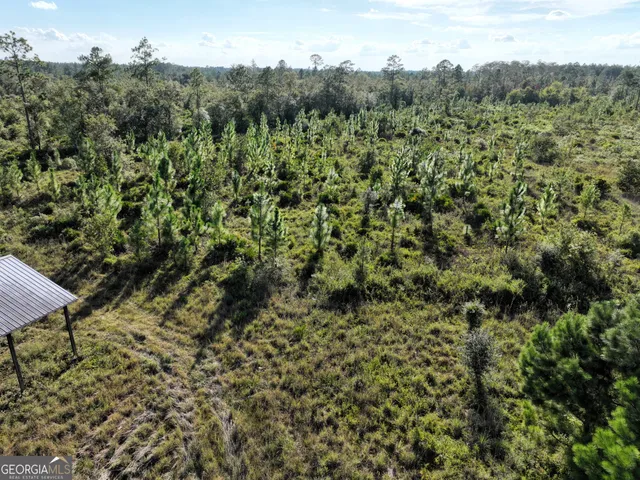 an aerial view of residential house with outdoor space and trees all around