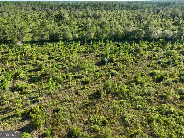 a view of a green field with lots of bushes