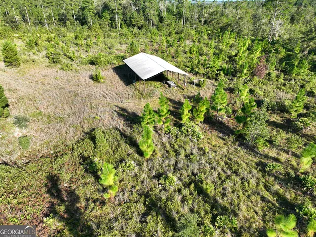 a view of a yard with a tree