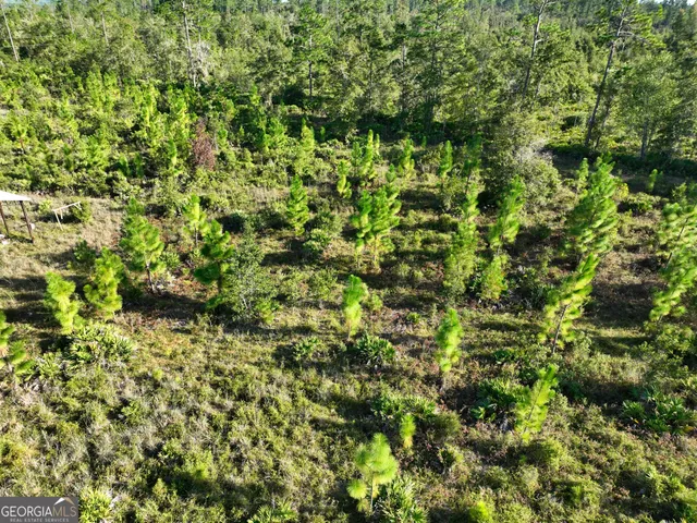 a view of a yard with an outdoor space