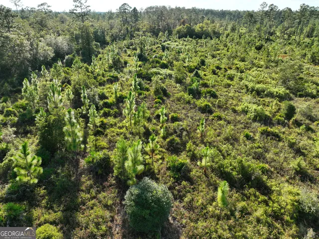a view of a field with trees in the background