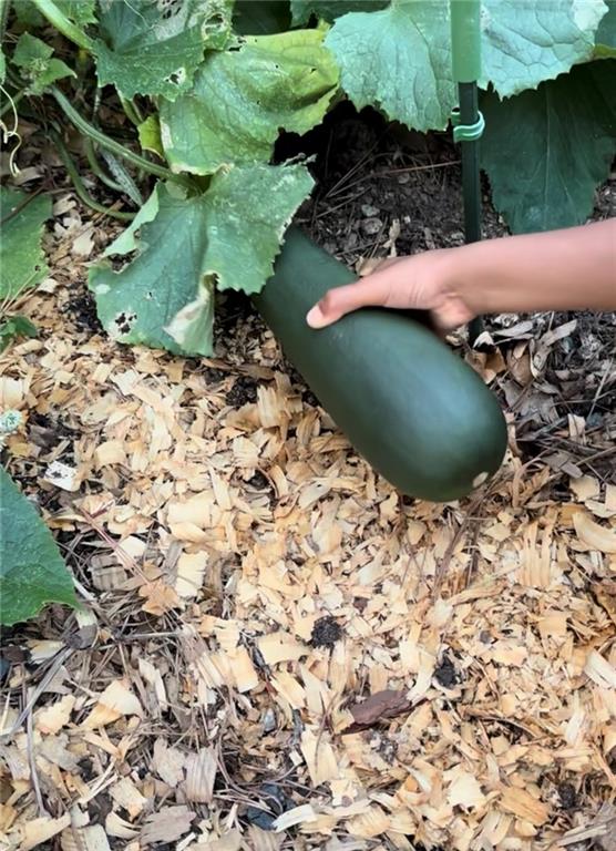 2301 Brooks Road Southeast Dacula, GA 30019 - Photo 56 of 63 a view of a lake