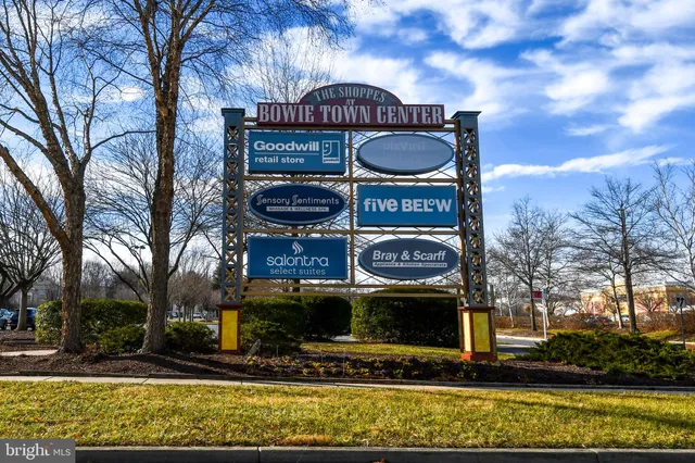 a view of a street with potted plants and a building