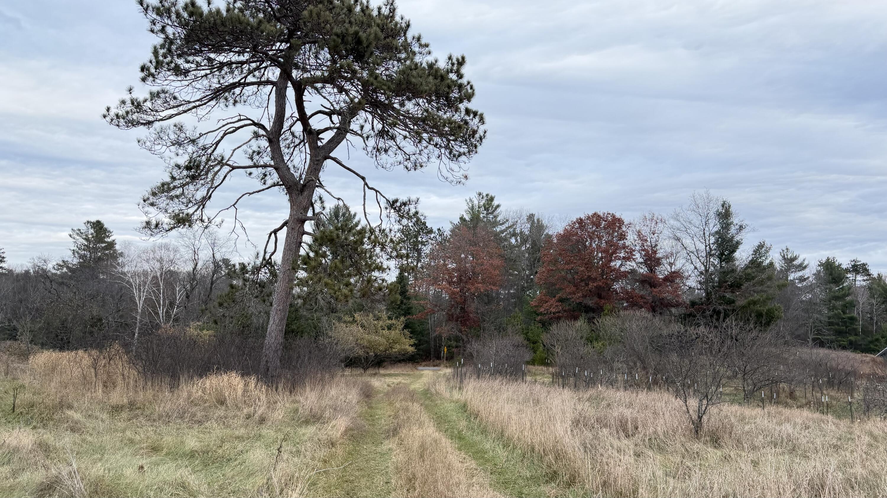 11 Boat Landing 11 Road Athelstane, WI 54104 - Photo 12 of 15 IMG_0230