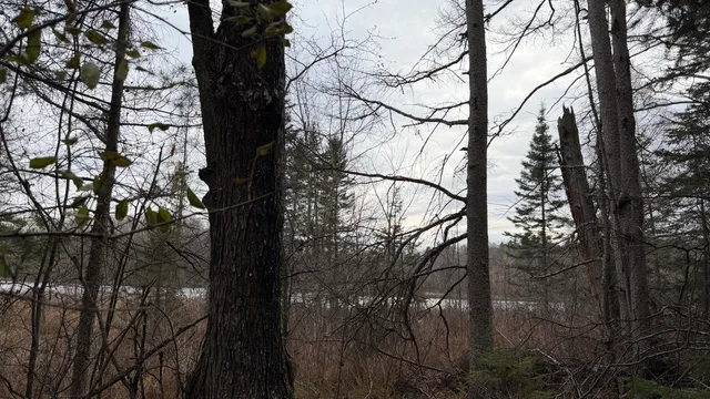 $178,800 | 11 Boat Landing 11 Road, Athelstane, WI 54104