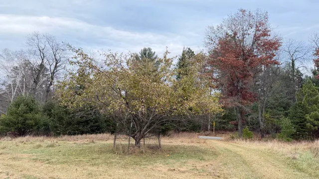 $178,800 | 11 Boat Landing 11 Road, Athelstane, WI 54104