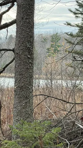 $178,800 | 11 Boat Landing 11 Road, Athelstane, WI 54104