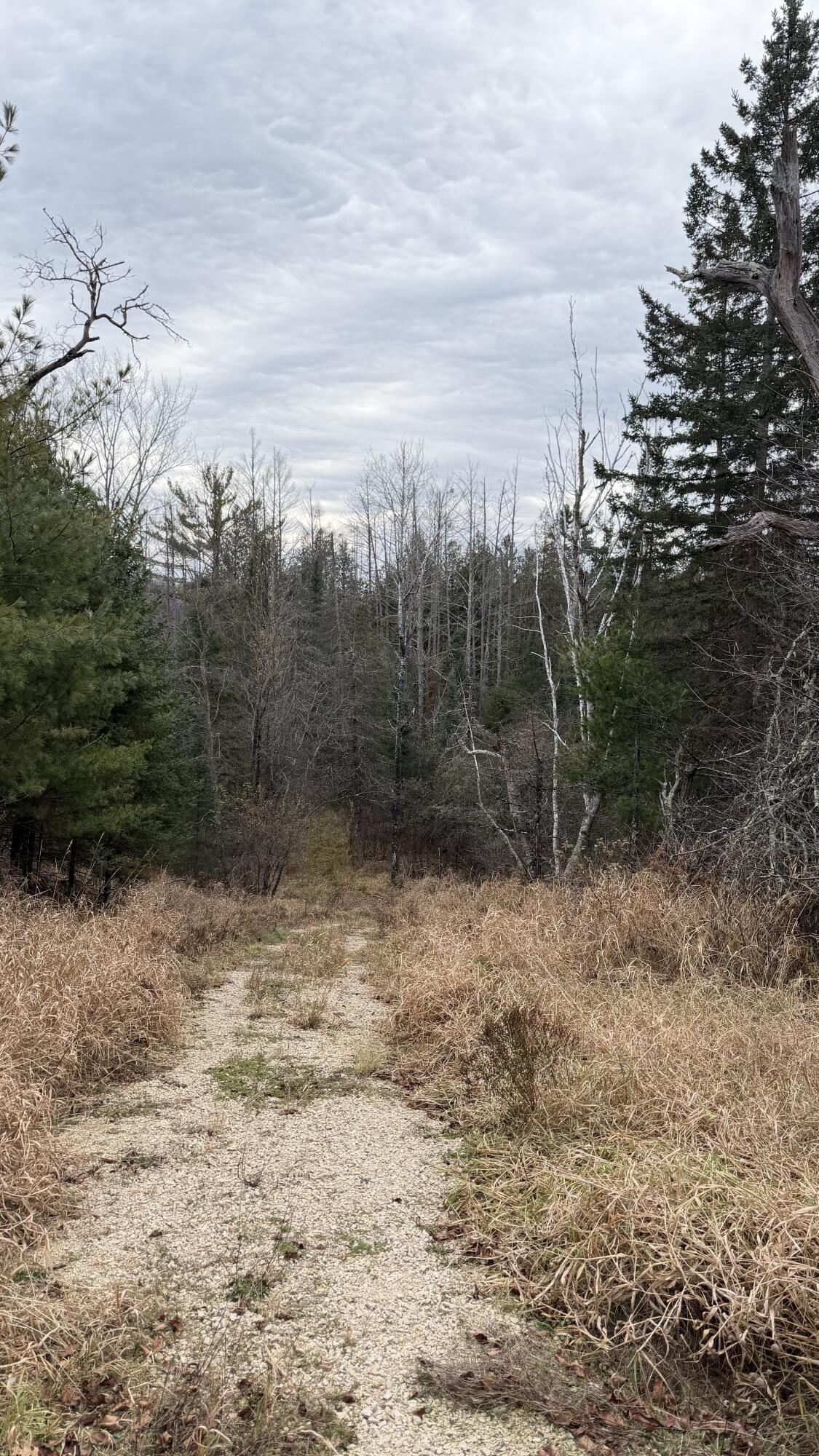 11 Boat Landing 11 Road Athelstane, WI 54104 - Photo 6 of 15 IMG_0218