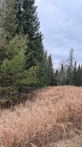 $178,800 | 11 Boat Landing 11 Road, Athelstane, WI 54104