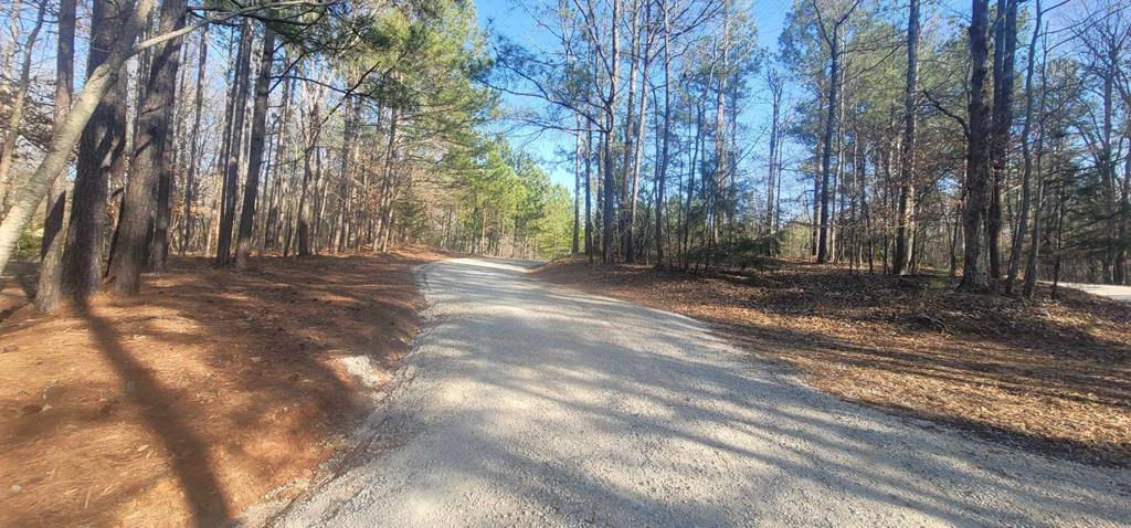 Lot 12 Mountain Shadows Road Hamilton, GA 31811 - Photo 3 of 4 Gallery Image 3