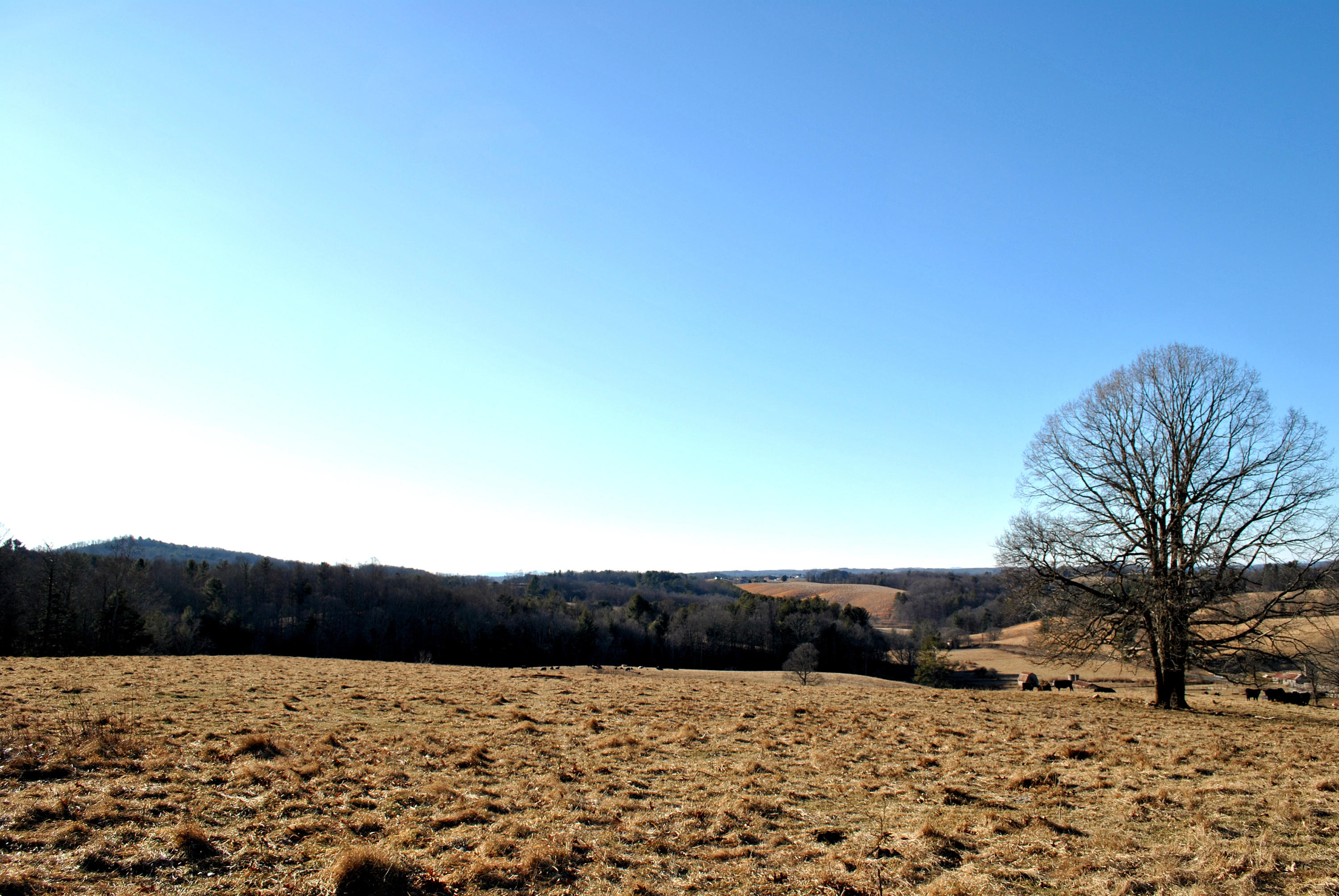 0 Hunters Ridge Road Dugspur, VA 24325 - Photo 1 of 68 247+ ACRES