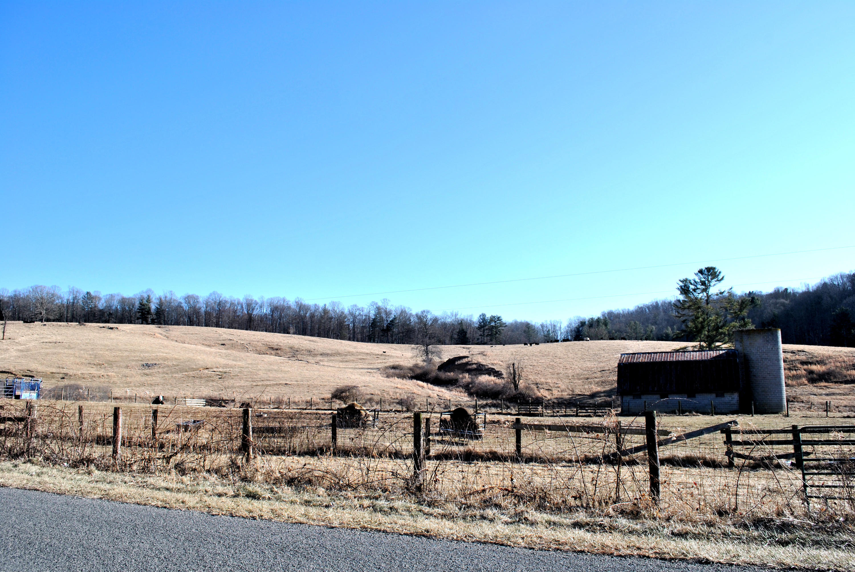 0 Hunters Ridge Road Dugspur, VA 24325 - Photo 12 of 68 DSC_0646