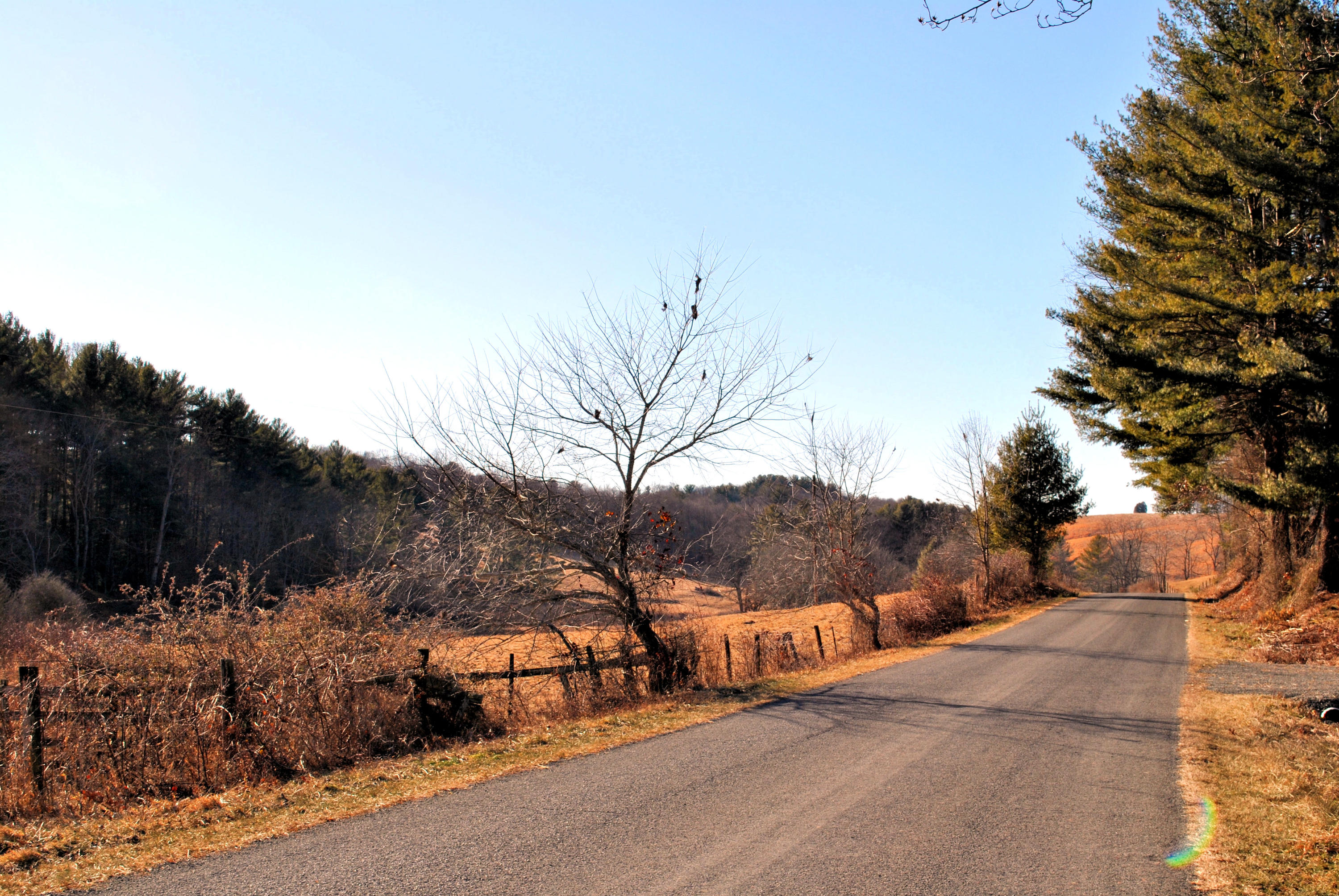 0 Hunters Ridge Road Dugspur, VA 24325 - Photo 13 of 68 DSC_0647