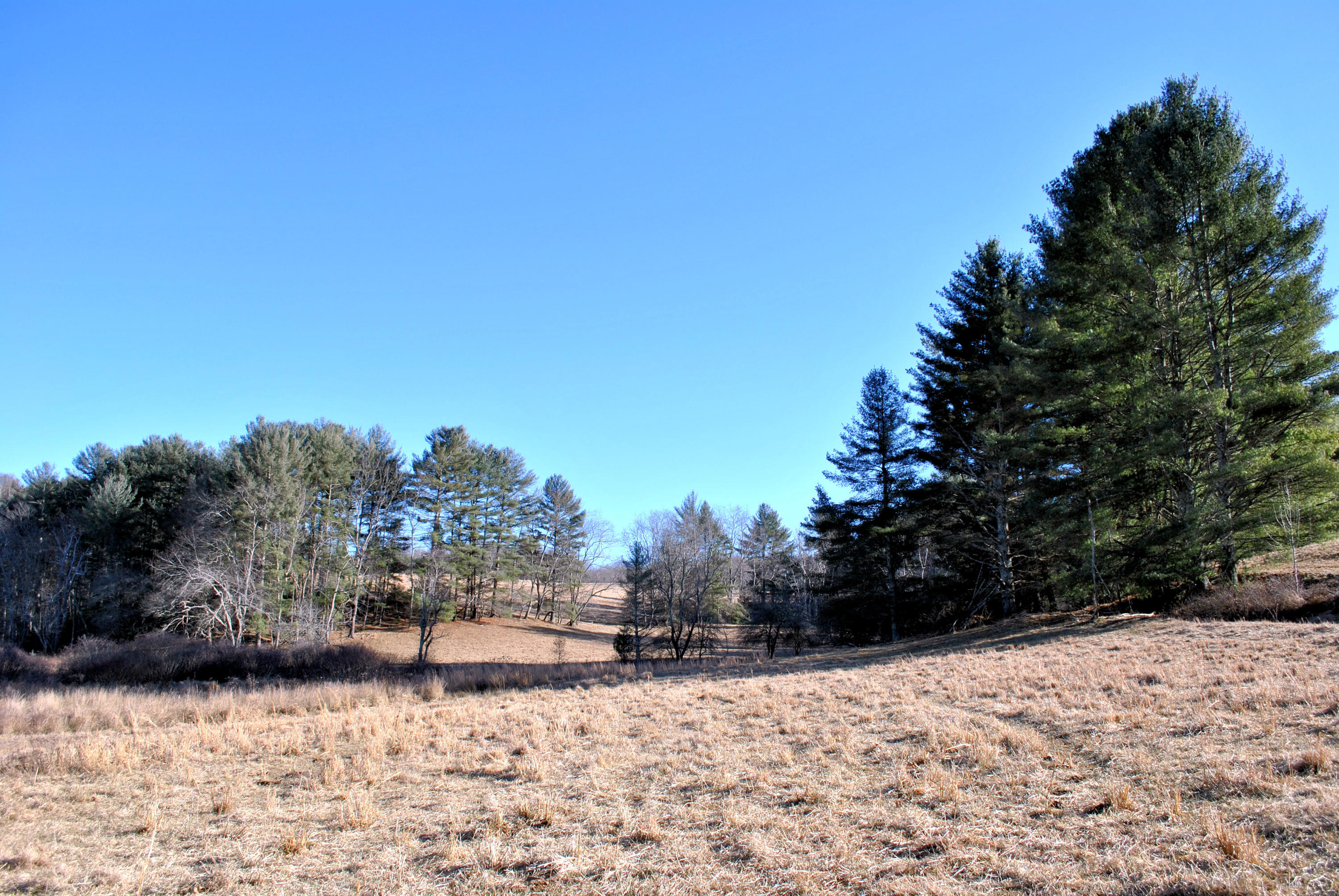 0 Hunters Ridge Road Dugspur, VA 24325 - Photo 25 of 68 DSC_0659