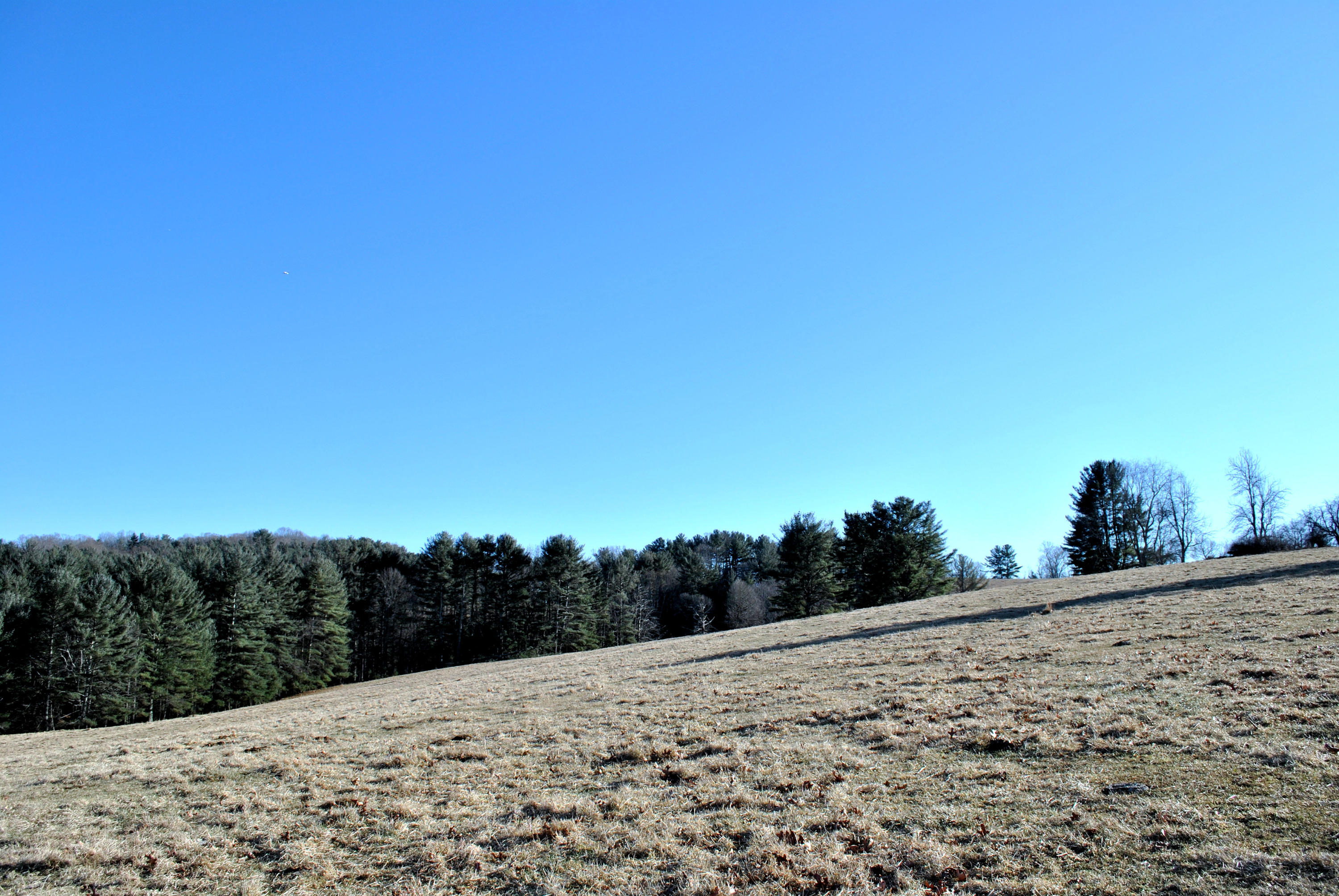 0 Hunters Ridge Road Dugspur, VA 24325 - Photo 26 of 68 DSC_0660
