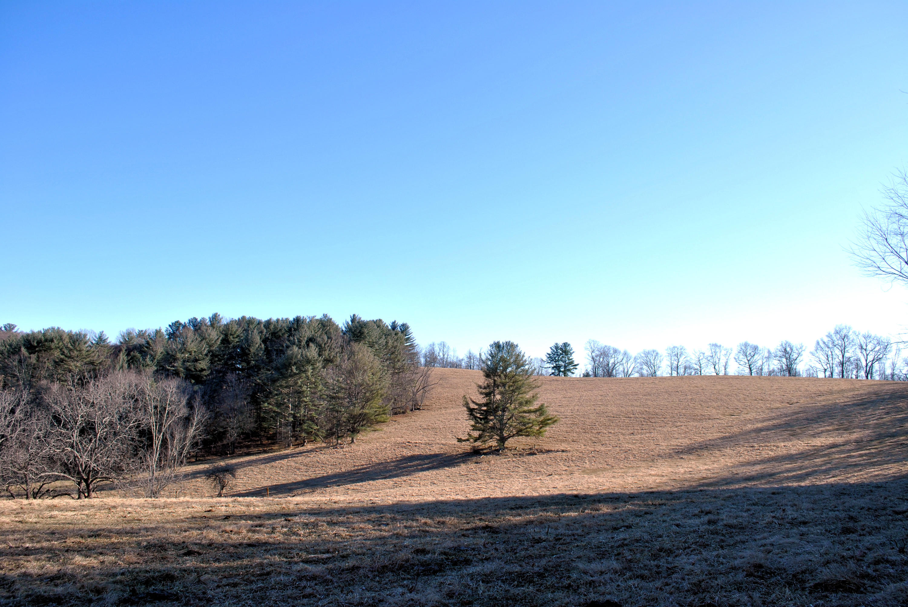 0 Hunters Ridge Road Dugspur, VA 24325 - Photo 27 of 68 DSC_0661