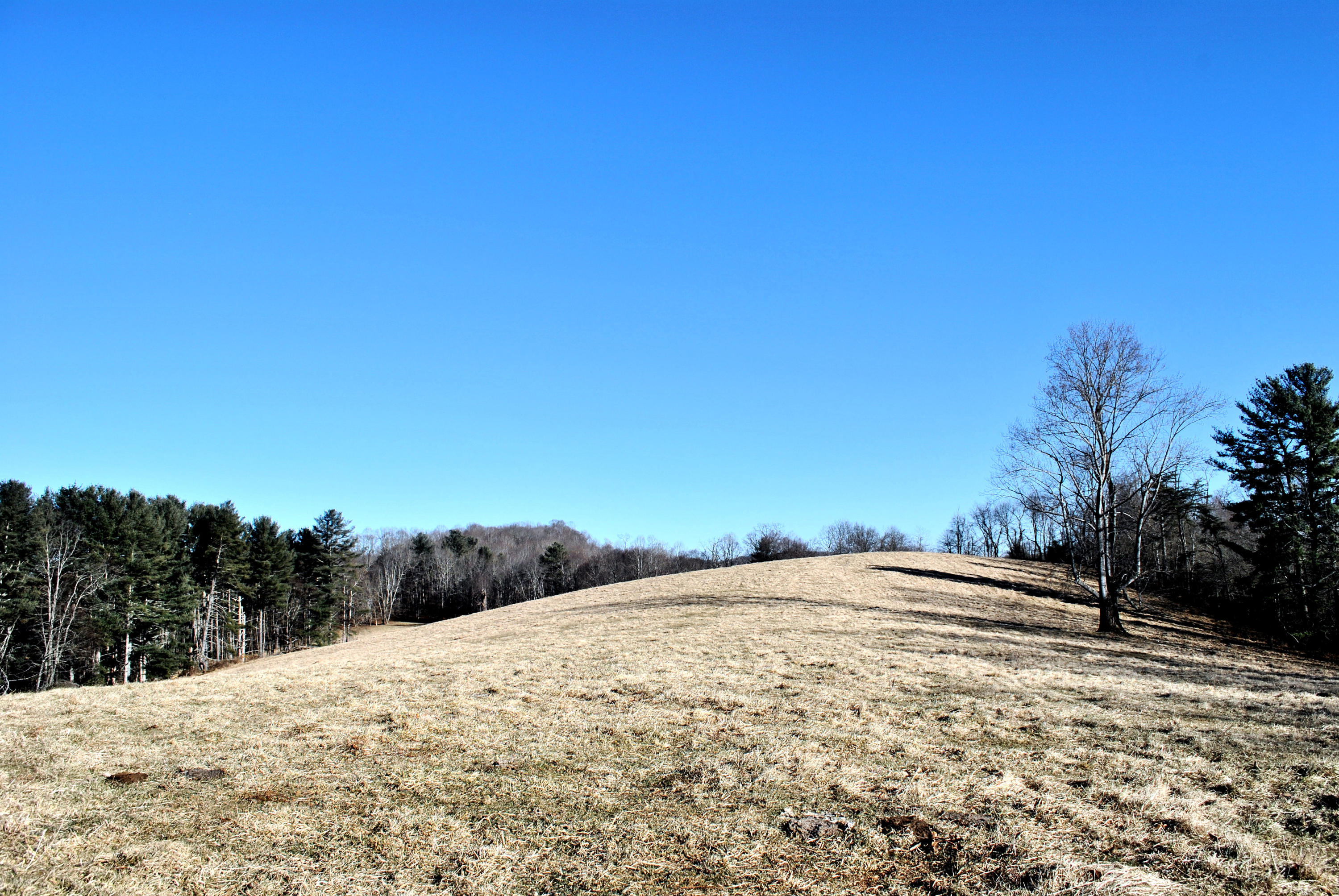 0 Hunters Ridge Road Dugspur, VA 24325 - Photo 31 of 68 DSC_0665