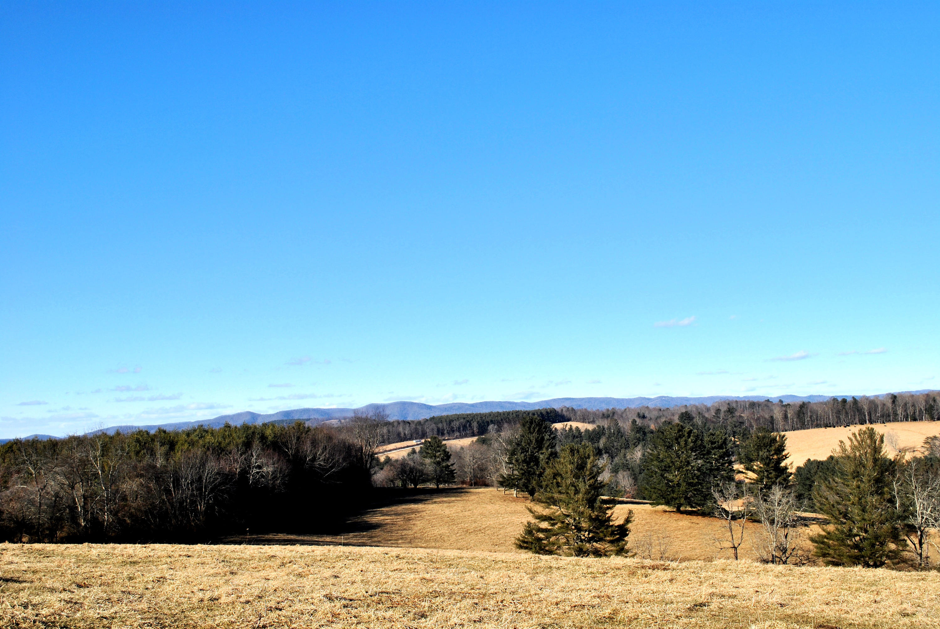 0 Hunters Ridge Road Dugspur, VA 24325 - Photo 32 of 68 DSC_0666