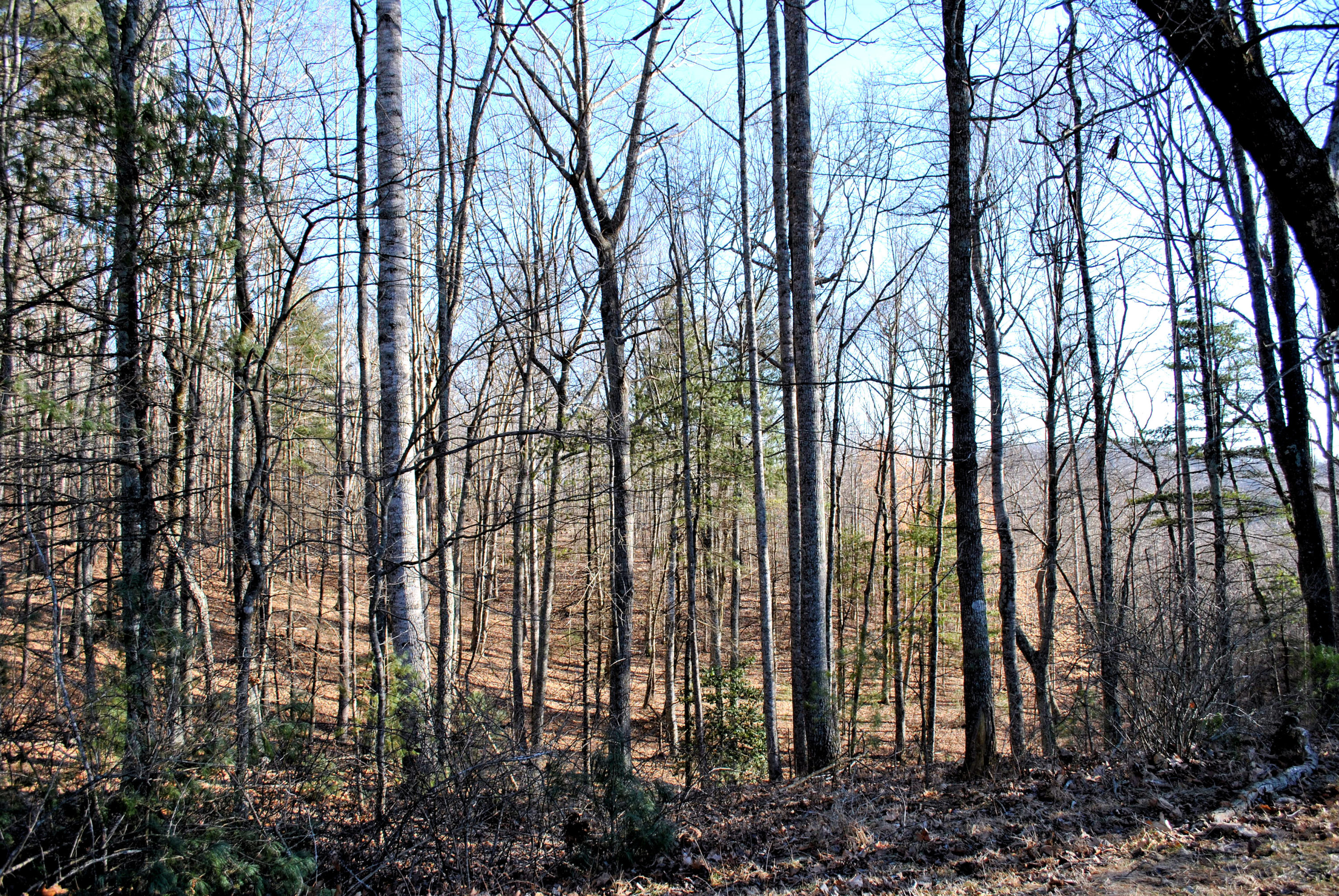0 Hunters Ridge Road Dugspur, VA 24325 - Photo 37 of 68 DSC_0671