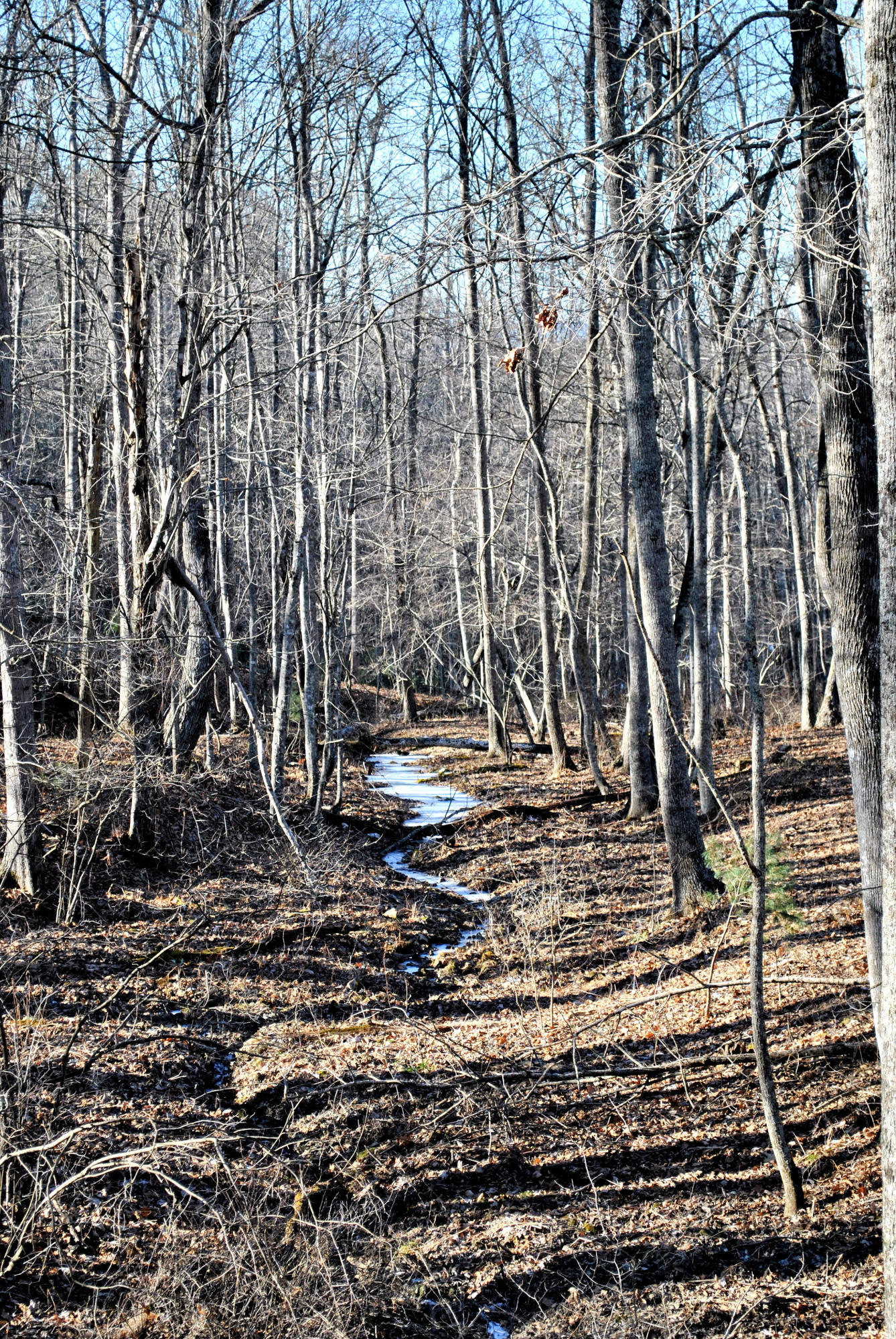 0 Hunters Ridge Road Dugspur, VA 24325 - Photo 50 of 68 DSC_0684