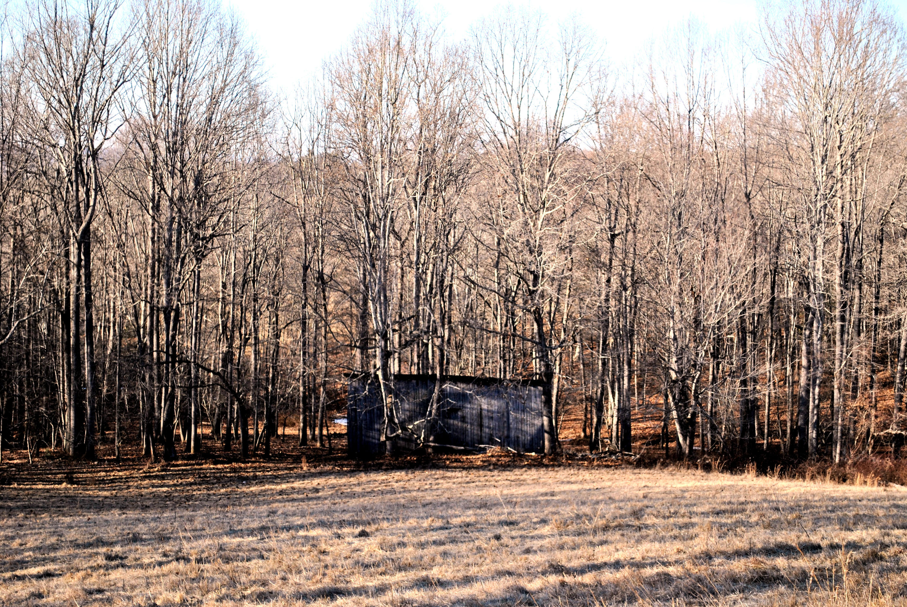0 Hunters Ridge Road Dugspur, VA 24325 - Photo 53 of 68 DSC_0687