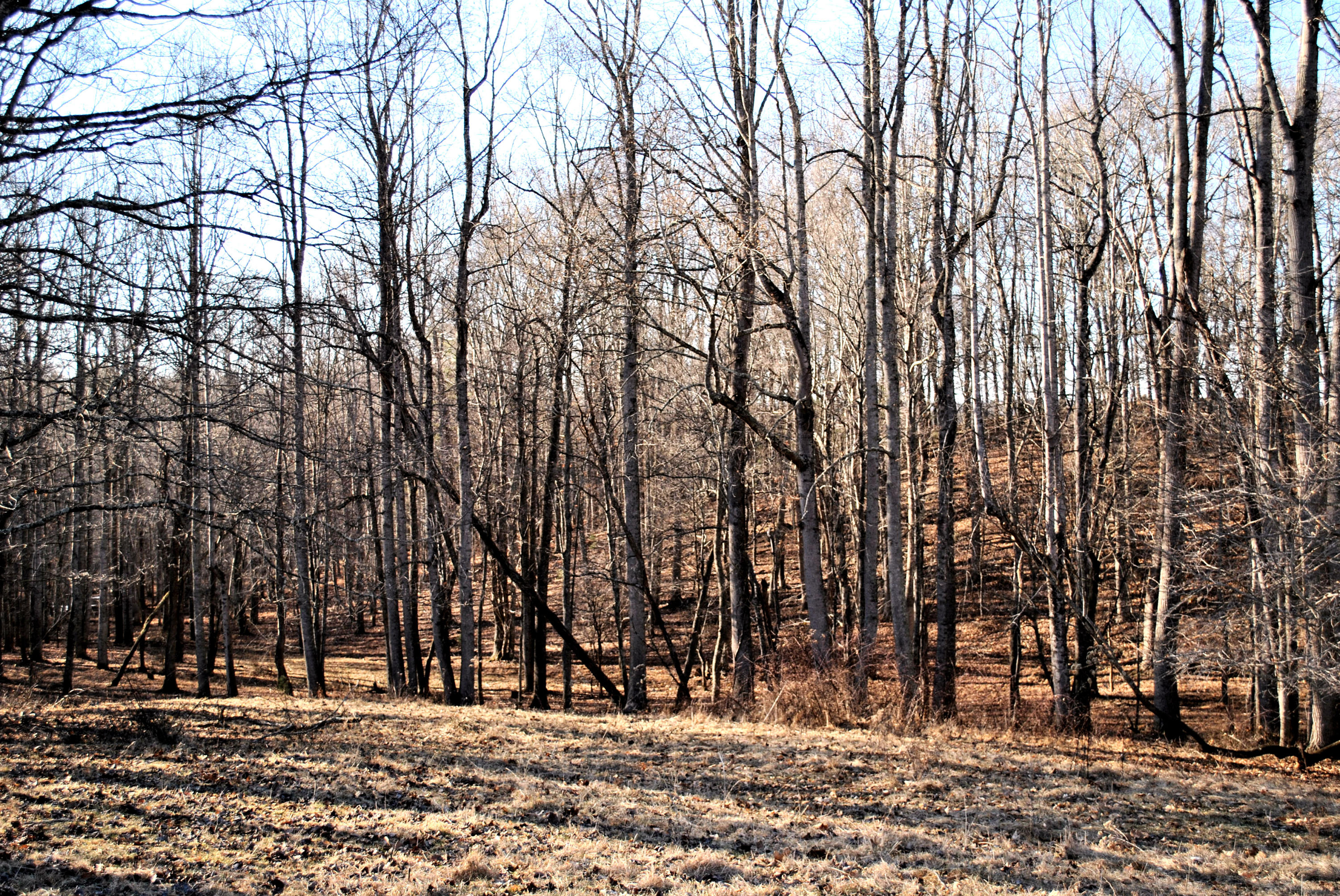 0 Hunters Ridge Road Dugspur, VA 24325 - Photo 54 of 68 DSC_0688