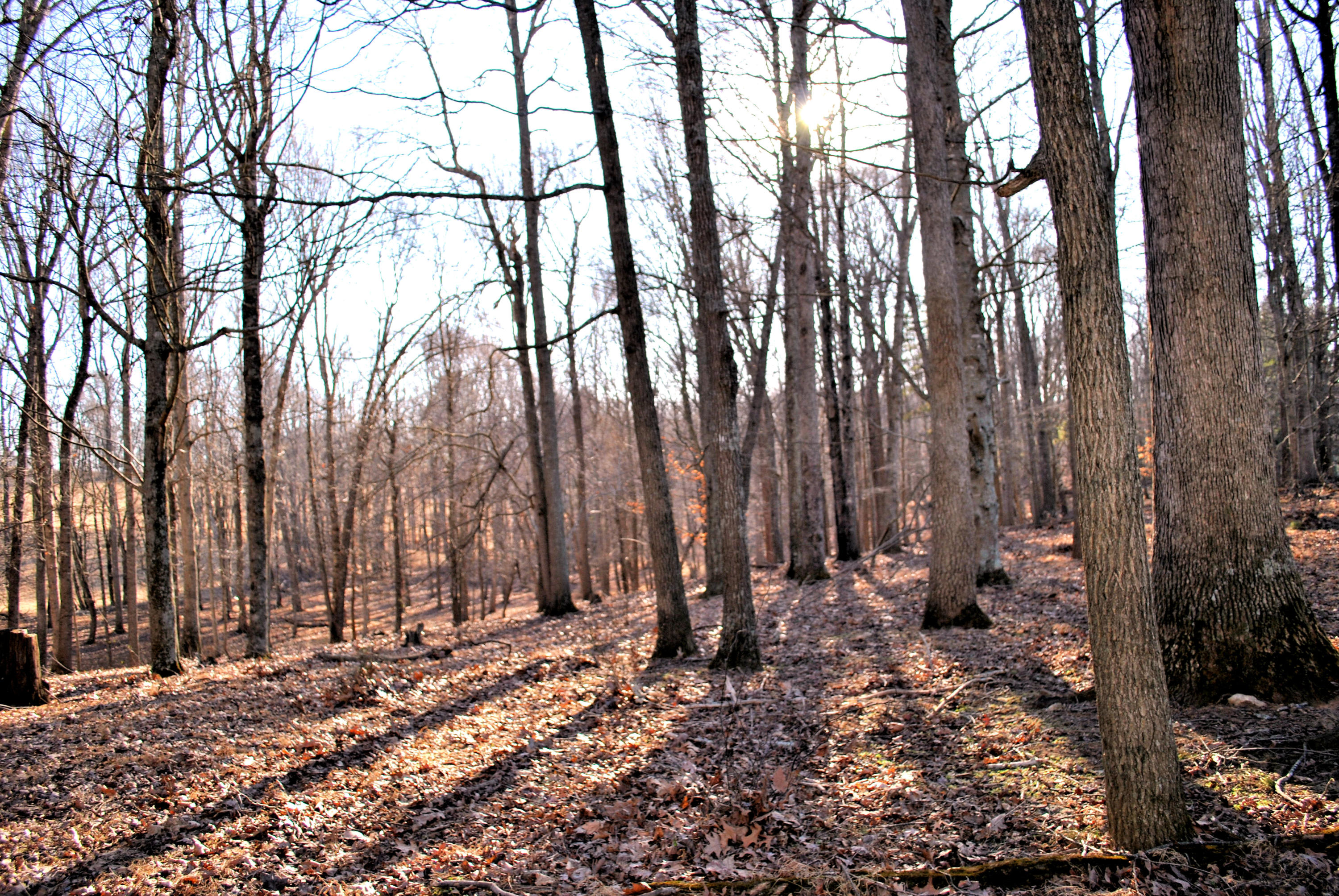 0 Hunters Ridge Road Dugspur, VA 24325 - Photo 56 of 68 DSC_0690