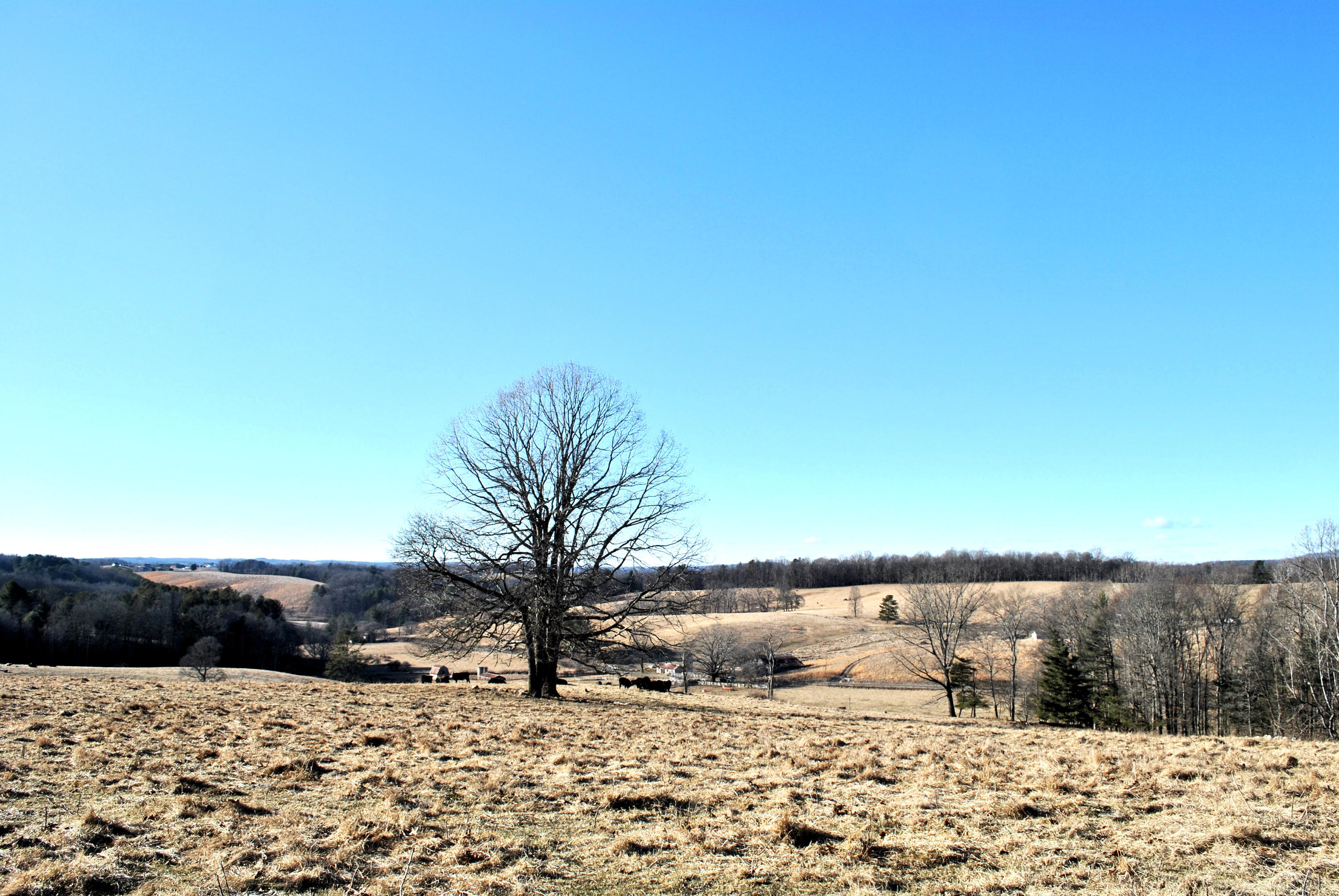 0 Hunters Ridge Road Dugspur, VA 24325 - Photo 57 of 68 DSC_0692
