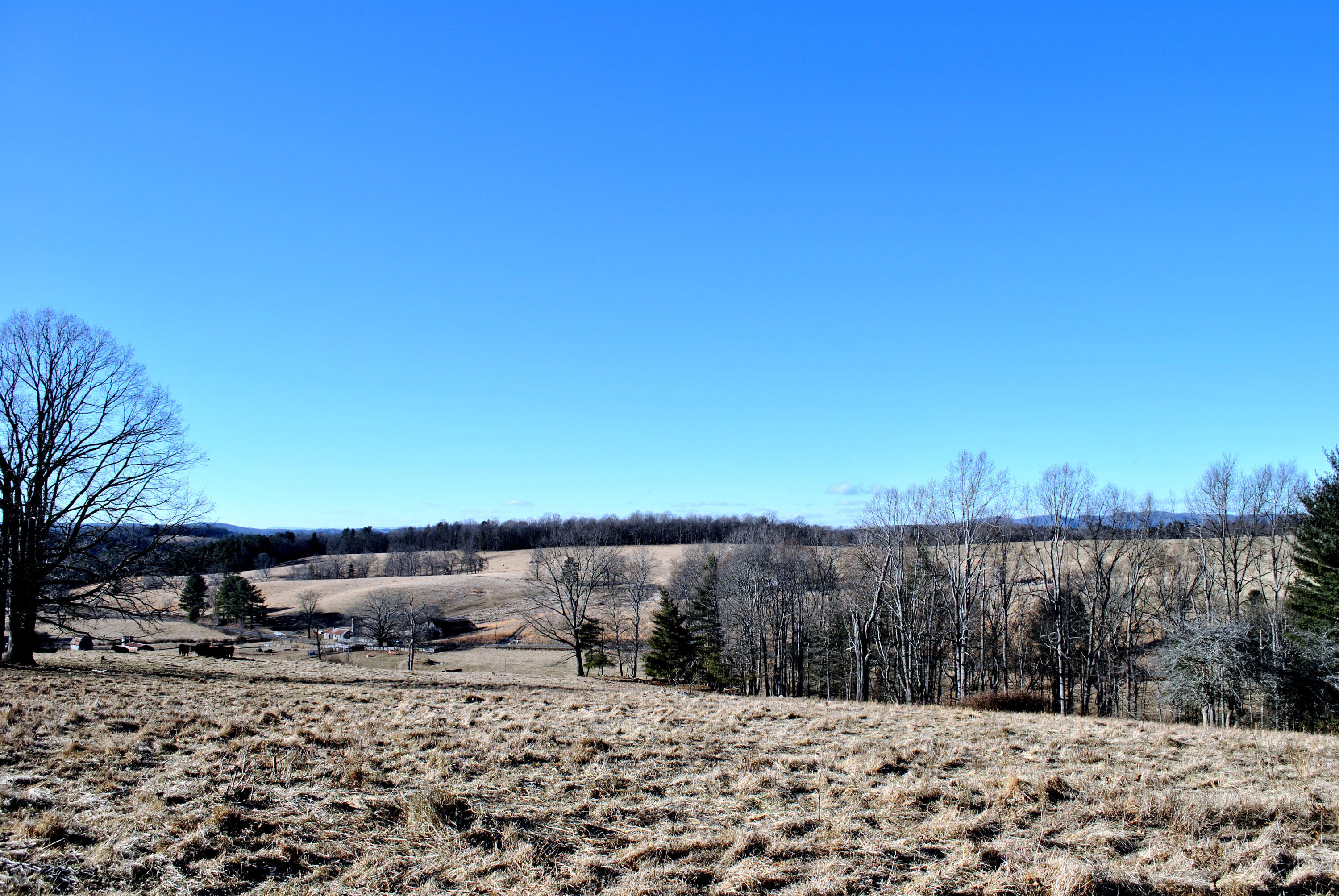 0 Hunters Ridge Road Dugspur, VA 24325 - Photo 58 of 68 DSC_0693