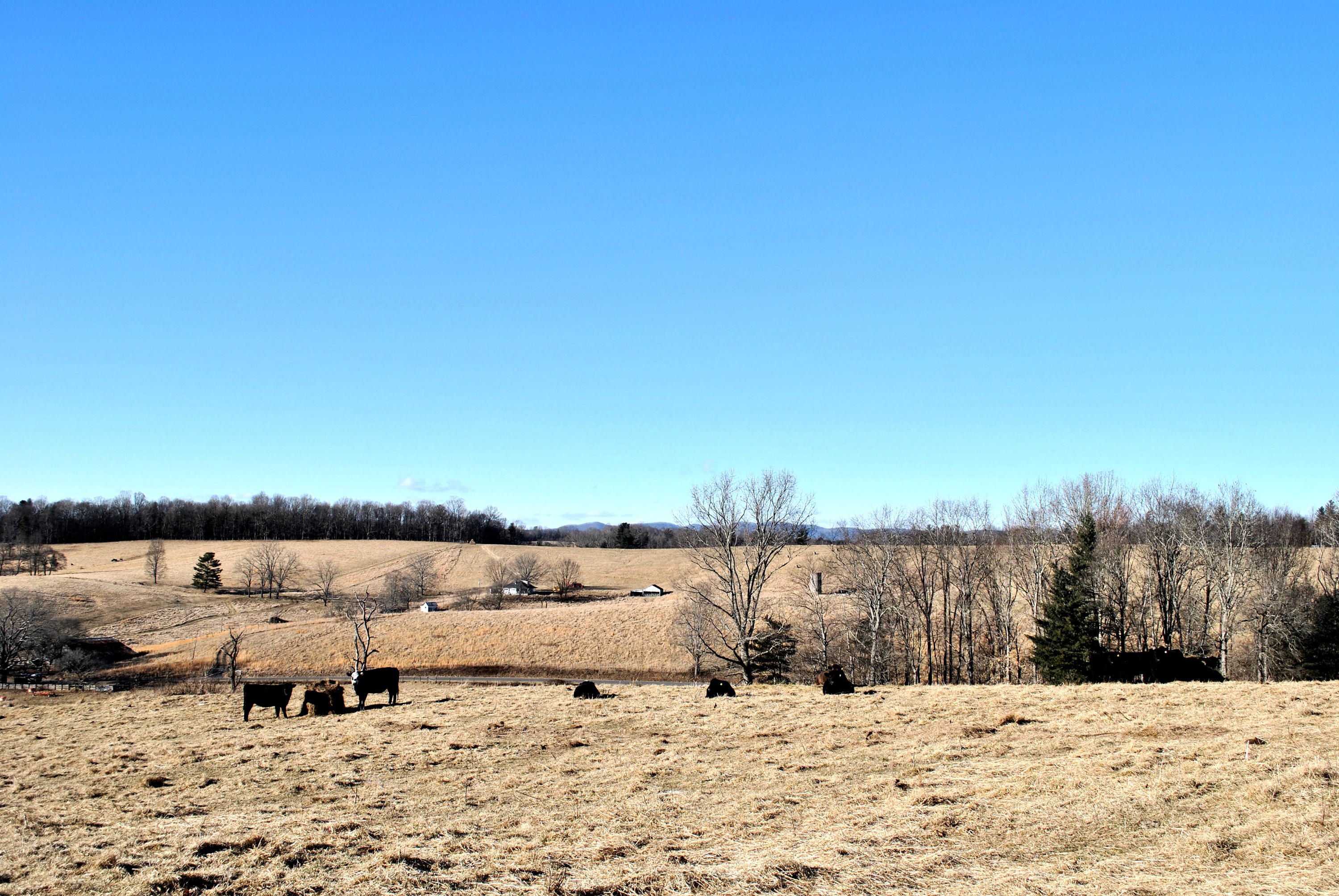 0 Hunters Ridge Road Dugspur, VA 24325 - Photo 60 of 68 DSC_0695