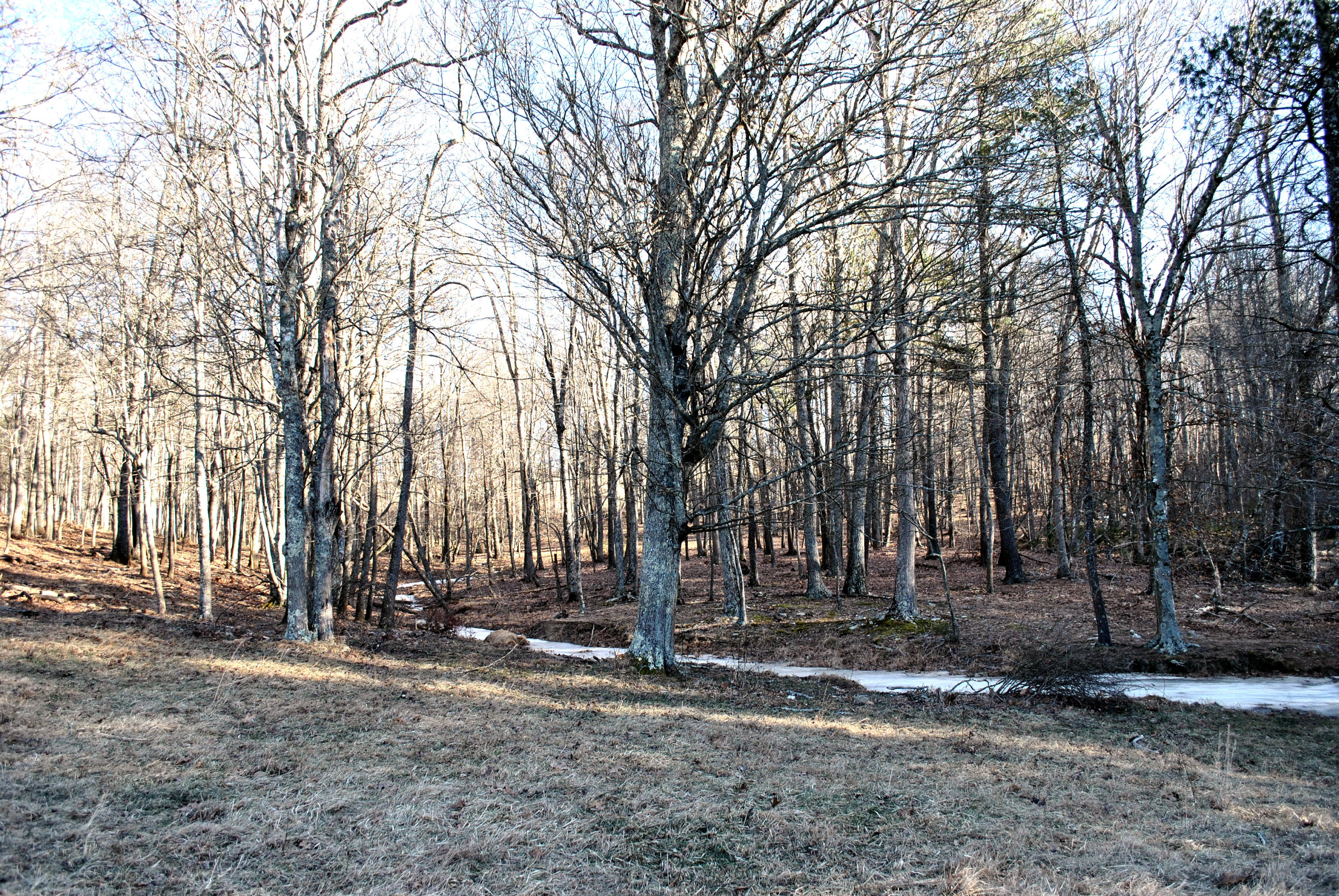 0 Hunters Ridge Road Dugspur, VA 24325 - Photo 61 of 68 DSC_0696
