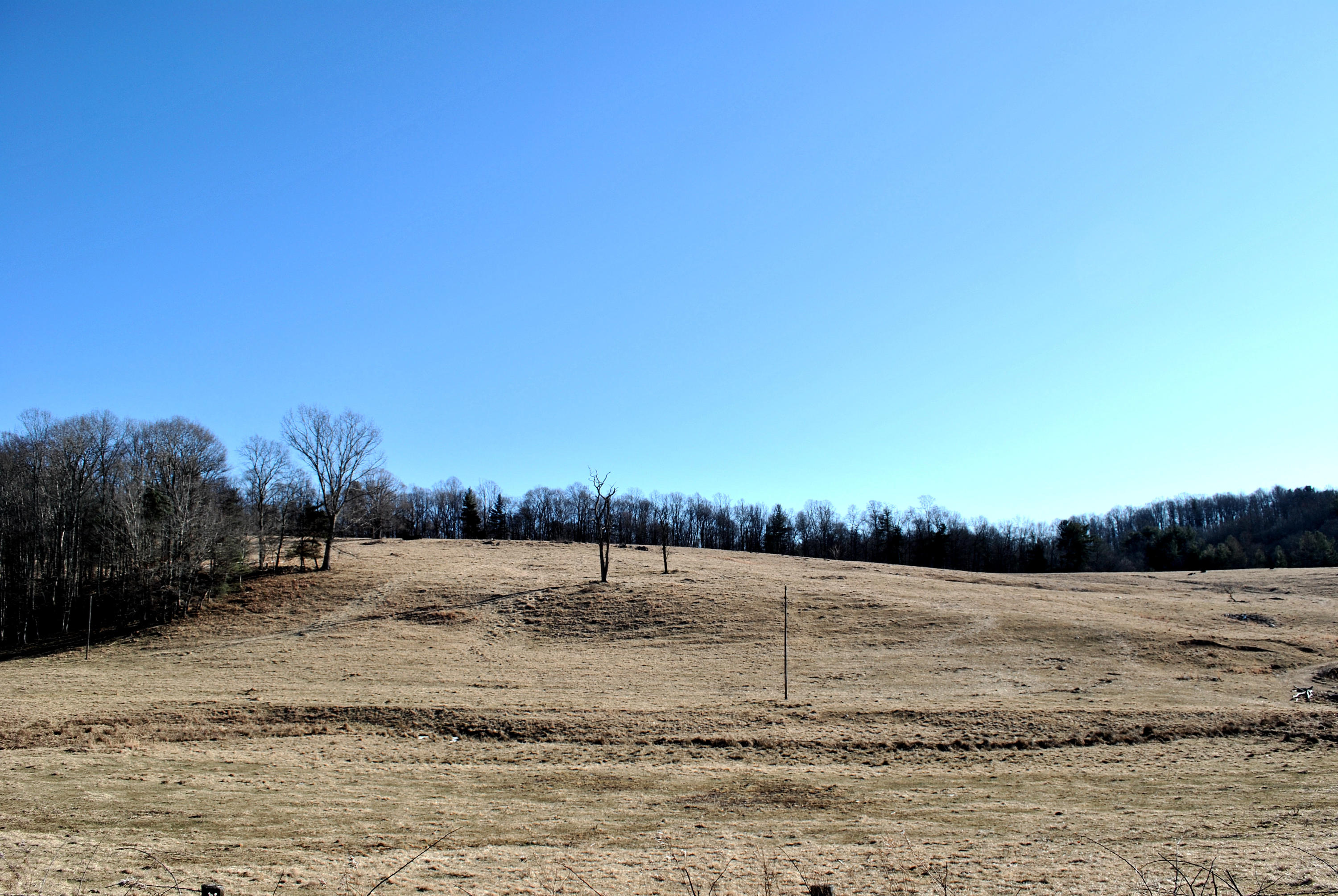 0 Hunters Ridge Road Dugspur, VA 24325 - Photo 7 of 68 DSC_0641
