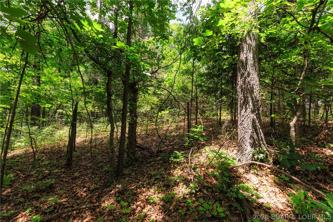 400 Hidden Acres Road Camdenton, MO 65020 - Photo 14 of 39