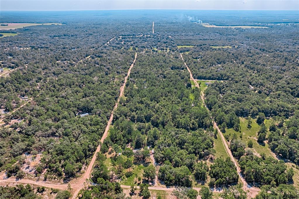 Northeast 82nd Place Bronson, FL 32621 - Photo 6 of 10