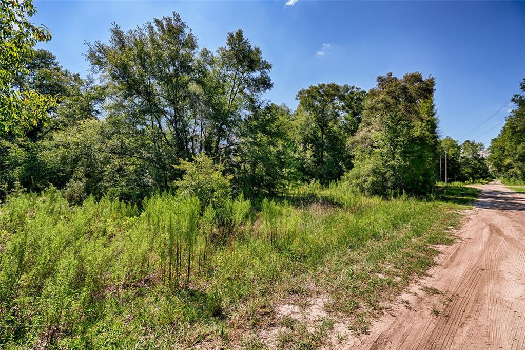 Northeast 82nd Place Bronson, FL 32621 - Photo 10 of 10