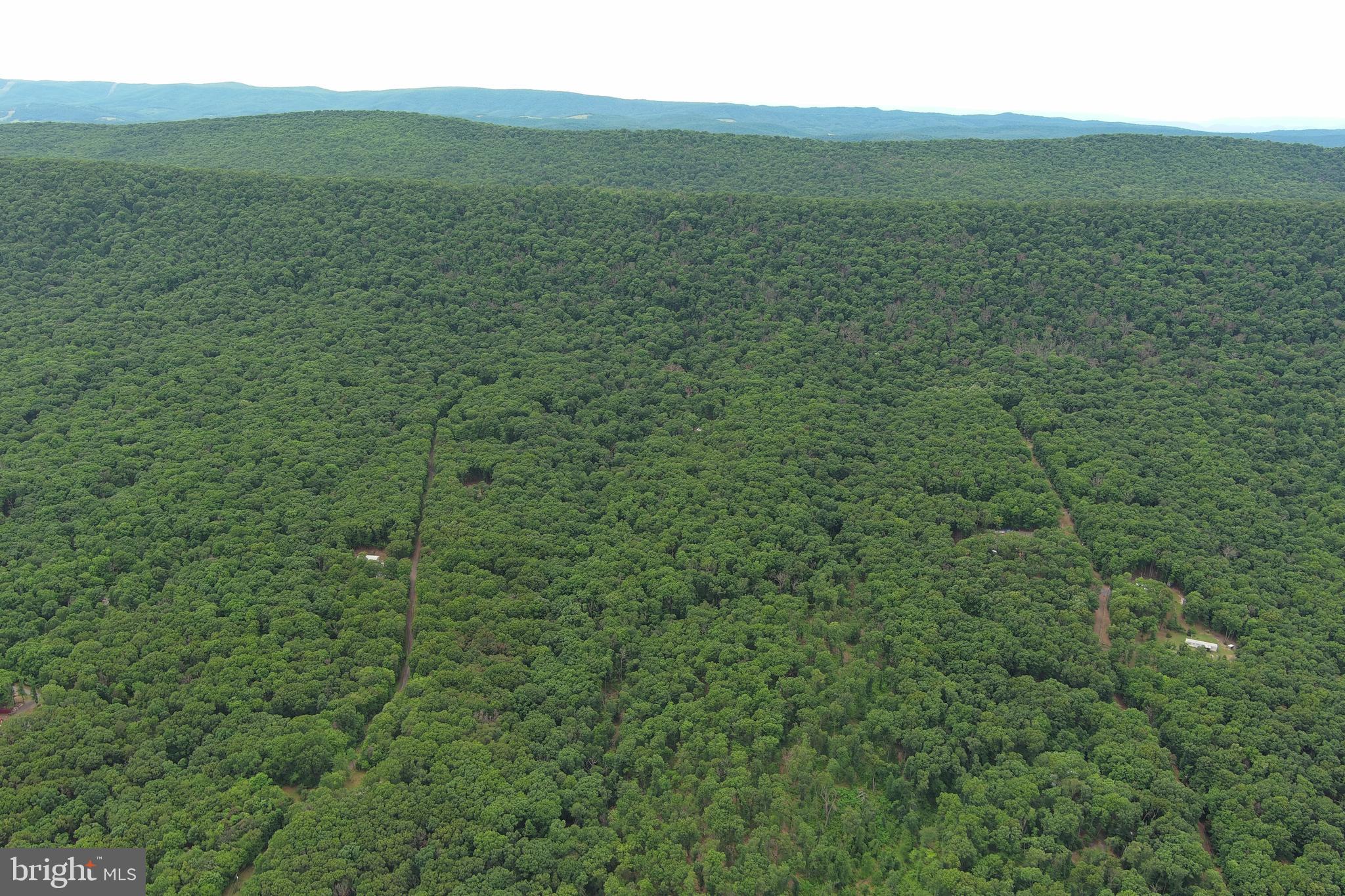 1419 Paul's Woods Road Delray, WV 26714 - Photo 93 of 105 a view of a field with a field