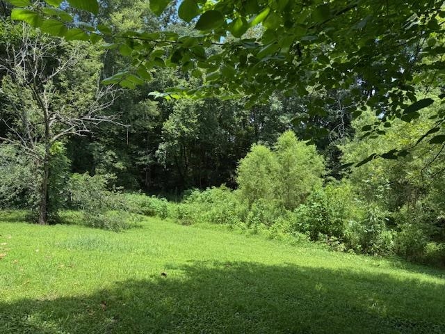165 Pittman Road Somerville, TN 38068 - Photo 15 of 17 View of yard with a wooded view