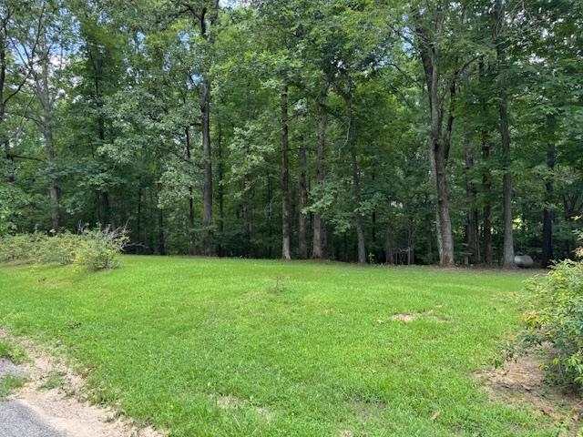 165 Pittman Road Somerville, TN 38068 - Photo 16 of 17 View of grassy yard featuring a wooded view