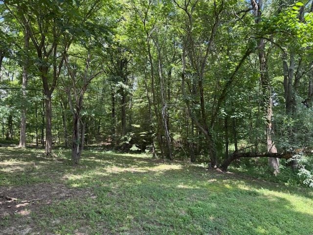 165 Pittman Road Somerville, TN 38068 - Photo 17 of 17 View of wooded area