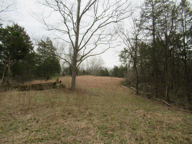 1234 North Dividing Ridge Road Sadieville, KY 40370 - Photo 8 of 16 Listing Photo