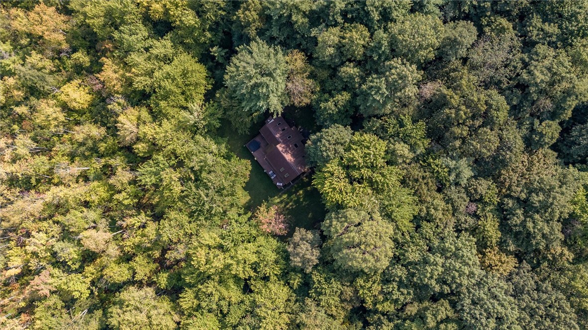 735 Howell Road Conquest, NY 13140 - Photo 7 of 49 7.7 acres of beautiful seclusion.