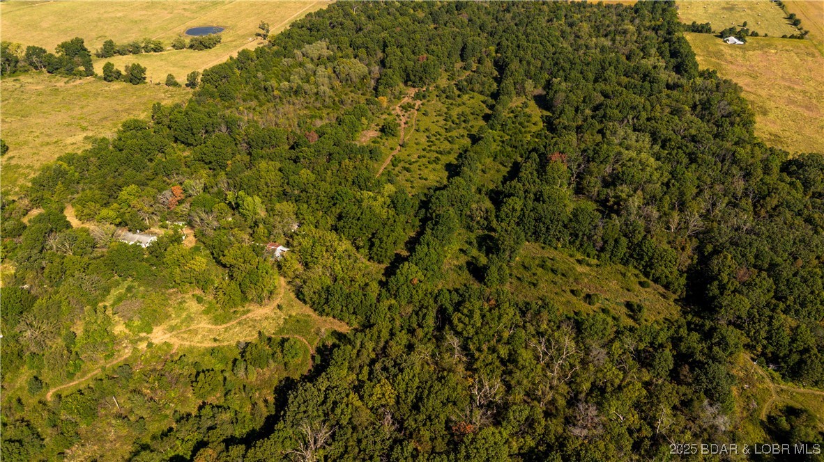 22595 South 2225 Road Milo, MO 64767 - Photo 20 of 39