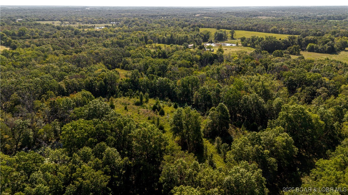 22595 South 2225 Road Milo, MO 64767 - Photo 24 of 39