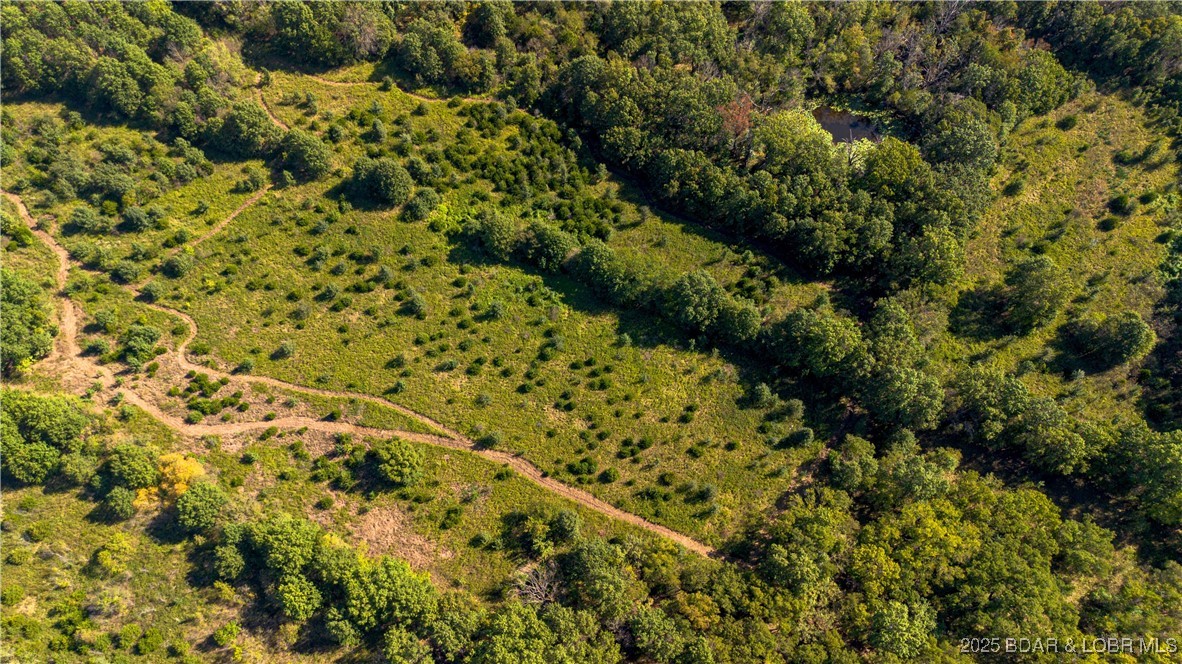 22595 South 2225 Road Milo, MO 64767 - Photo 28 of 39