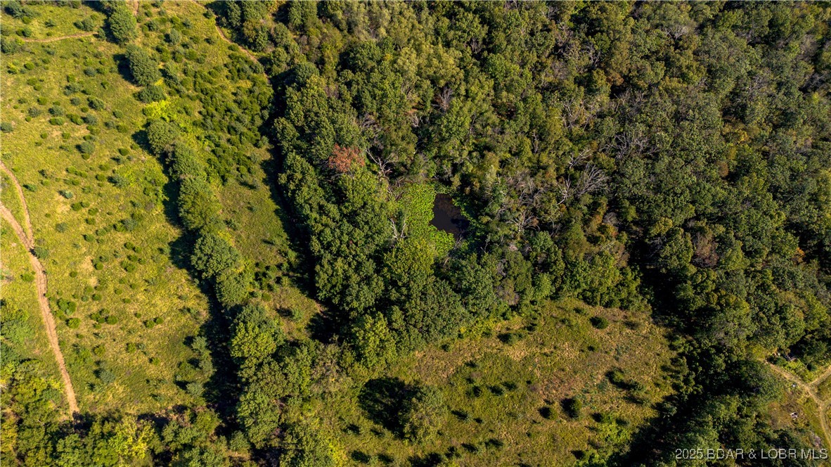 22595 South 2225 Road Milo, MO 64767 - Photo 29 of 39