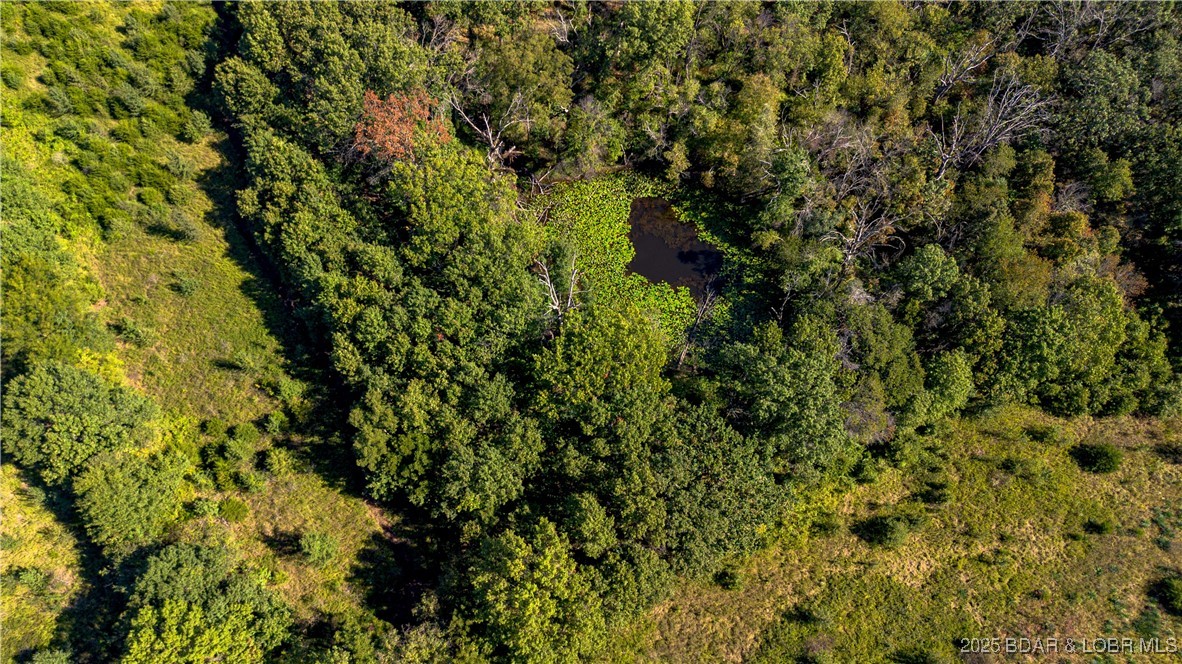 22595 South 2225 Road Milo, MO 64767 - Photo 30 of 39