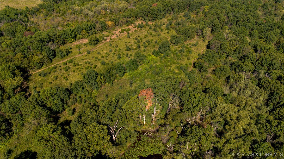 22595 South 2225 Road Milo, MO 64767 - Photo 31 of 39