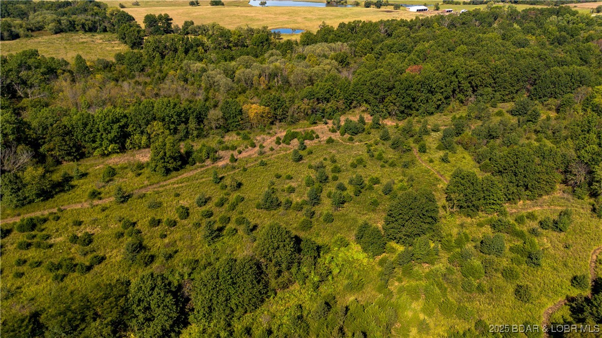 22595 South 2225 Road Milo, MO 64767 - Photo 33 of 39