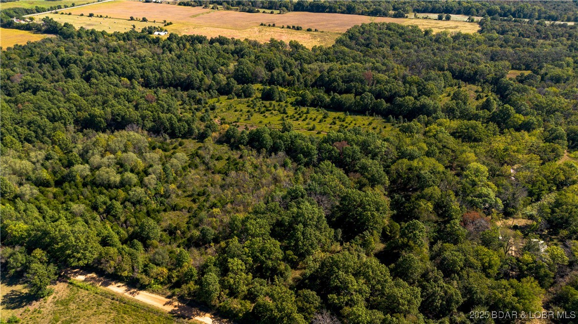 22595 South 2225 Road Milo, MO 64767 - Photo 36 of 39